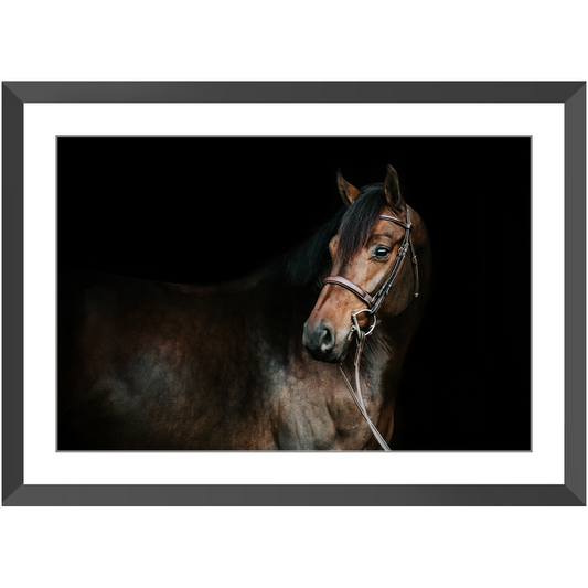 Jovial Series 2, Framed Print