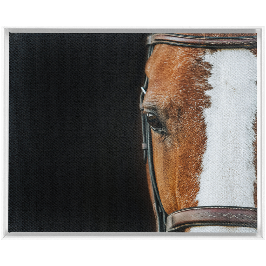 Huntsman Series 5, Framed Canvas