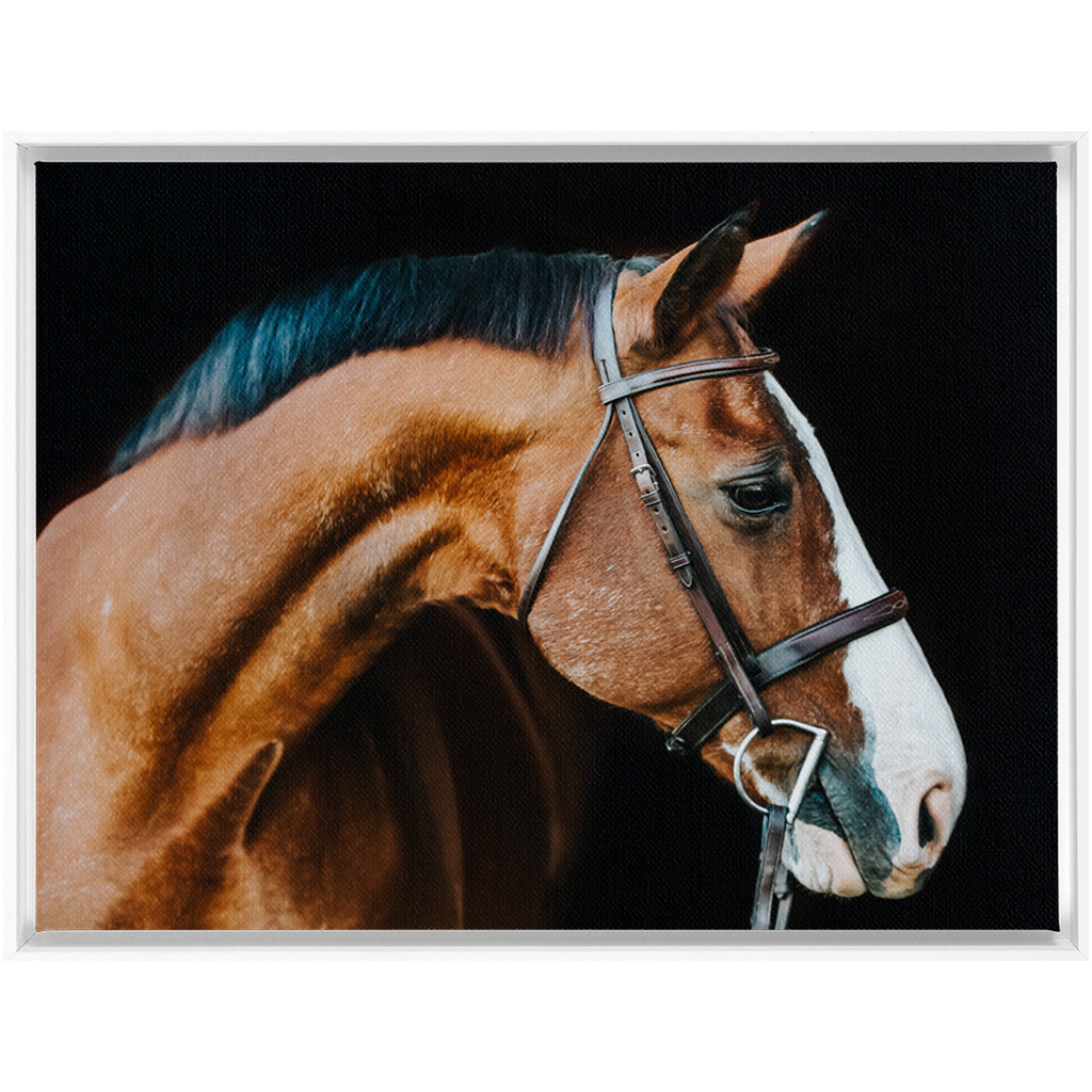 Huntsman Series 3, Framed Canvas