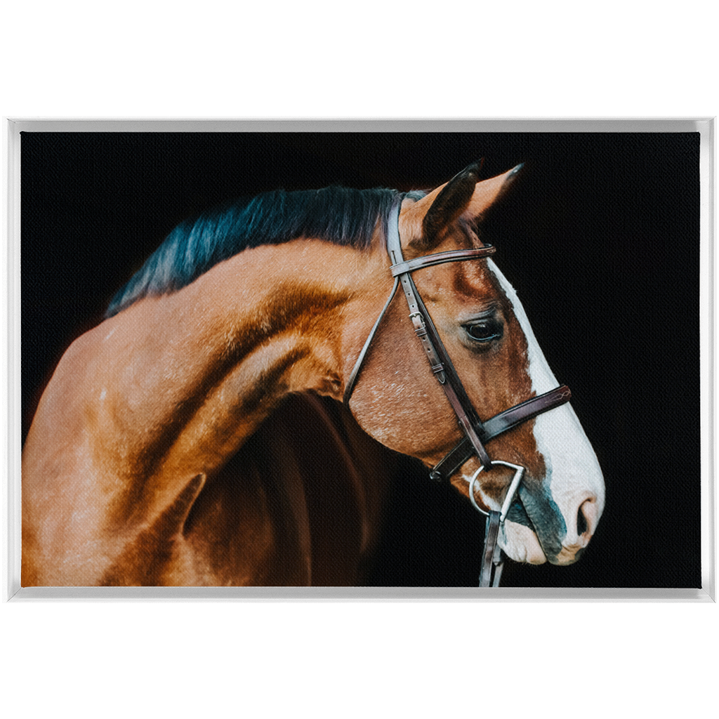 Huntsman Series 3, Framed Canvas