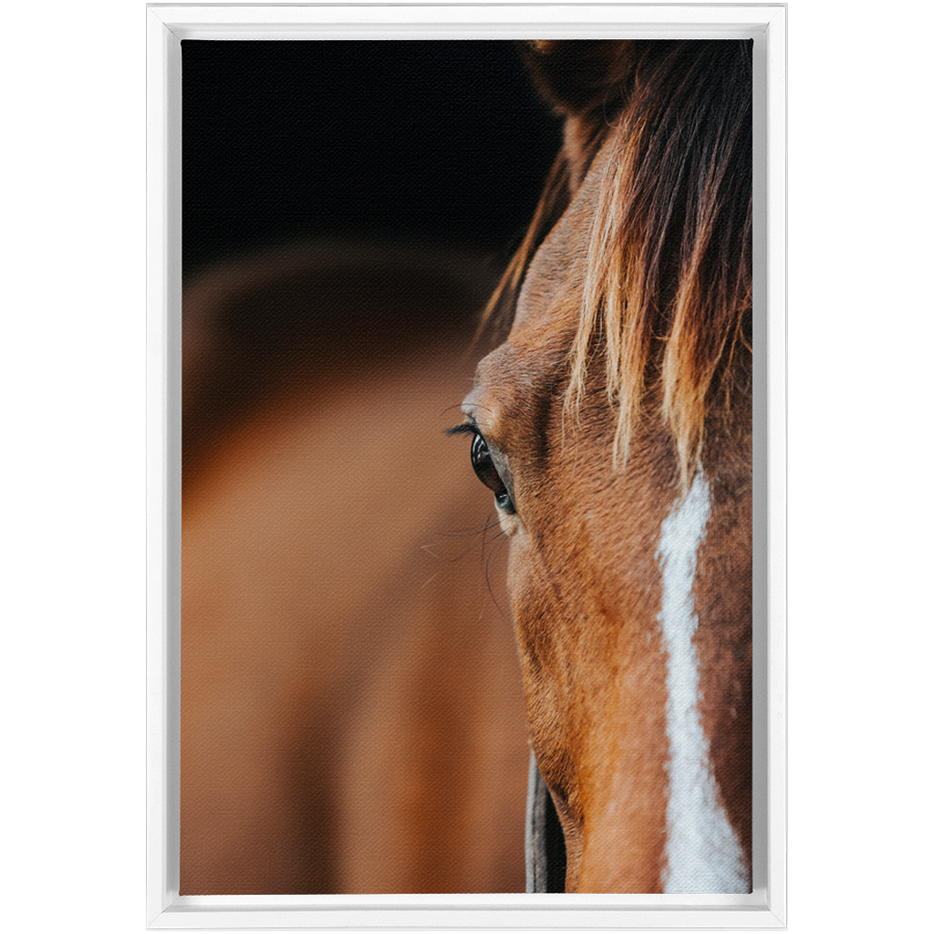 Majestic 1, Framed Canvas