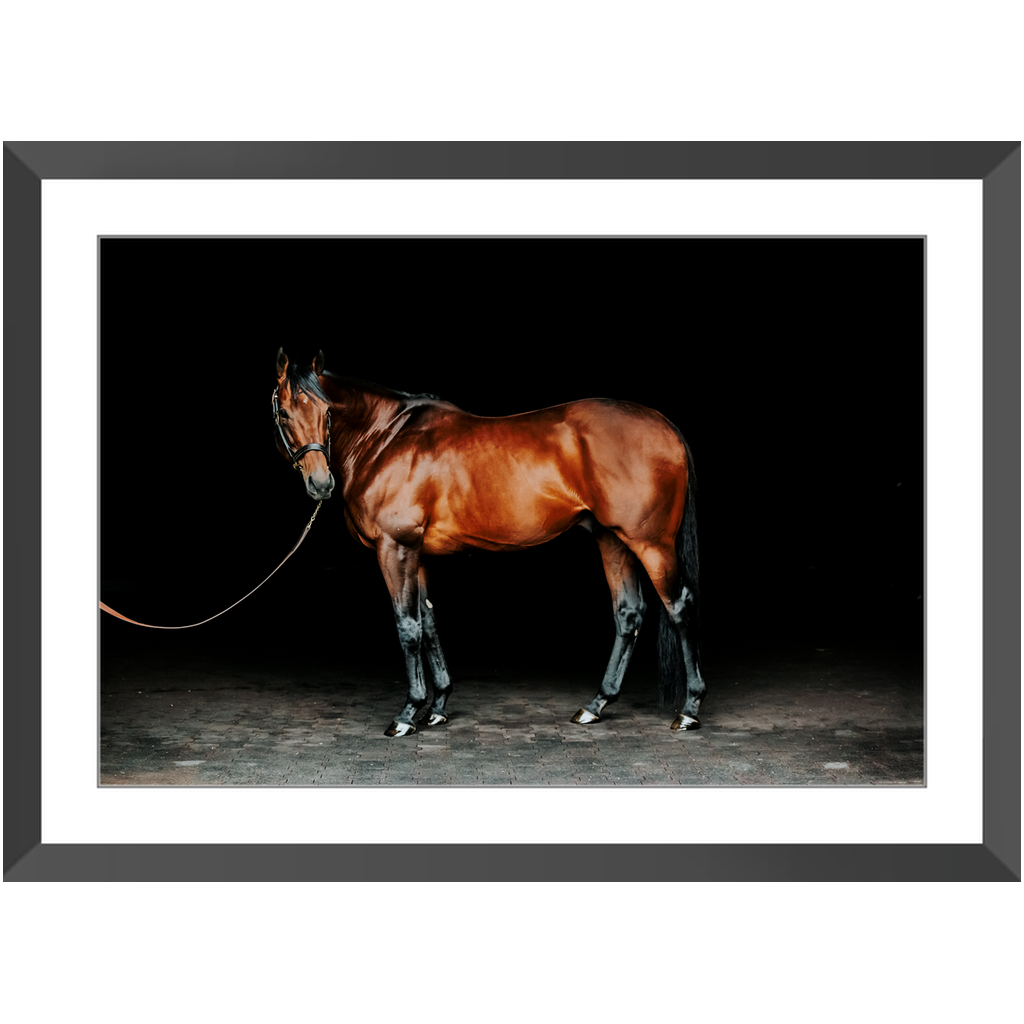 American Pharoah Series 1, Framed Print