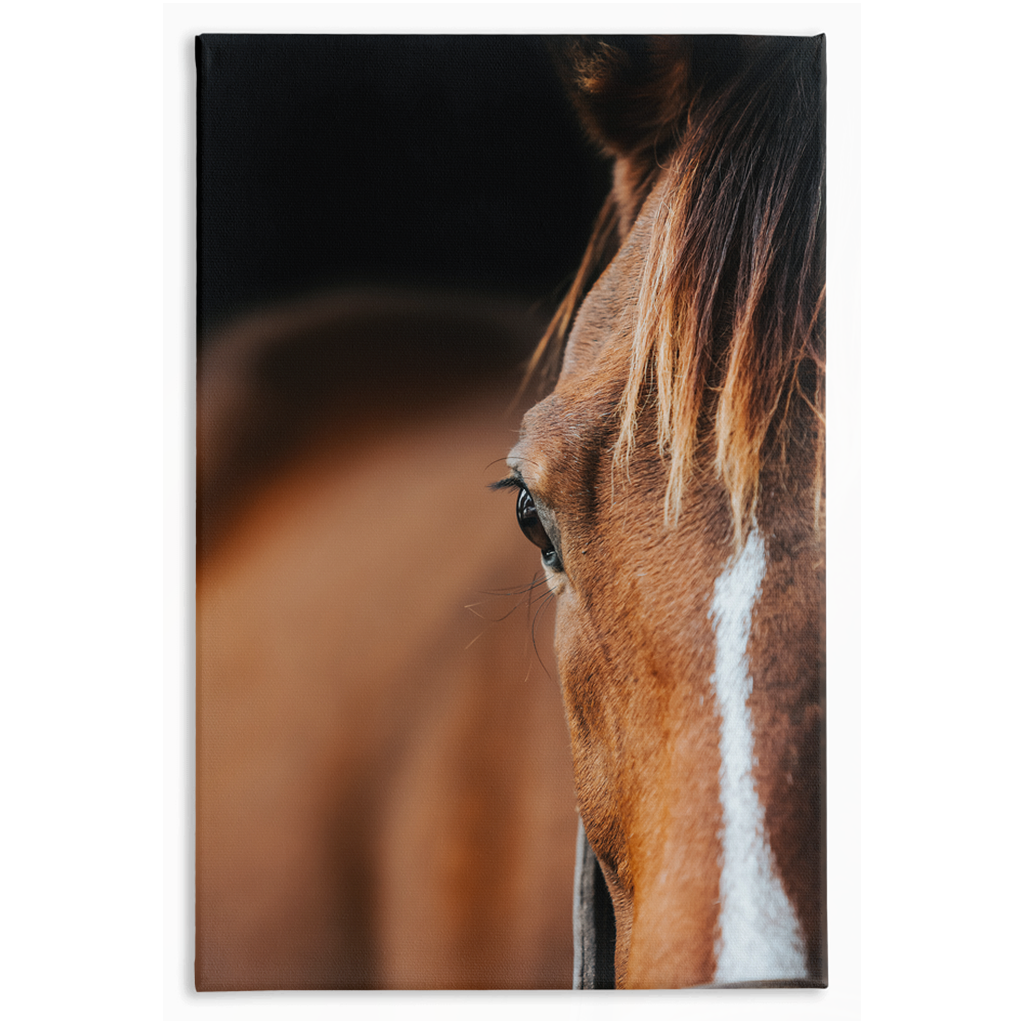 Majestic 1, Stretched Canvas