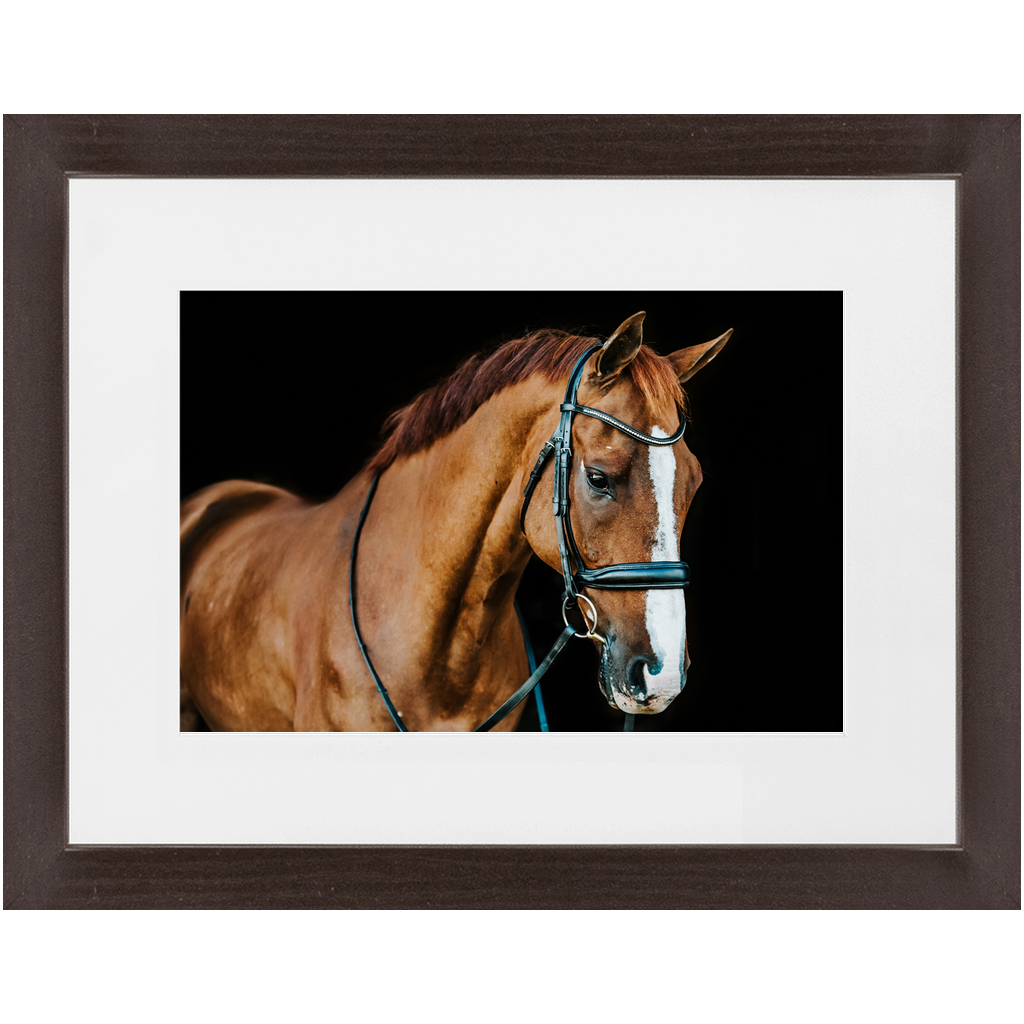 Hudson Series 1, Framed Print