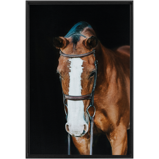 Huntsman Series 6, Framed Canvas