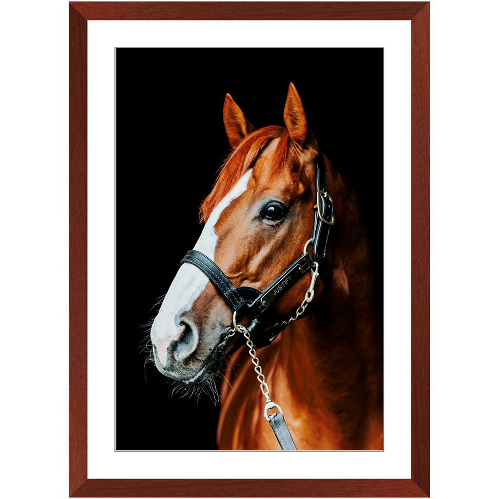 Justify Series 5, Framed Print