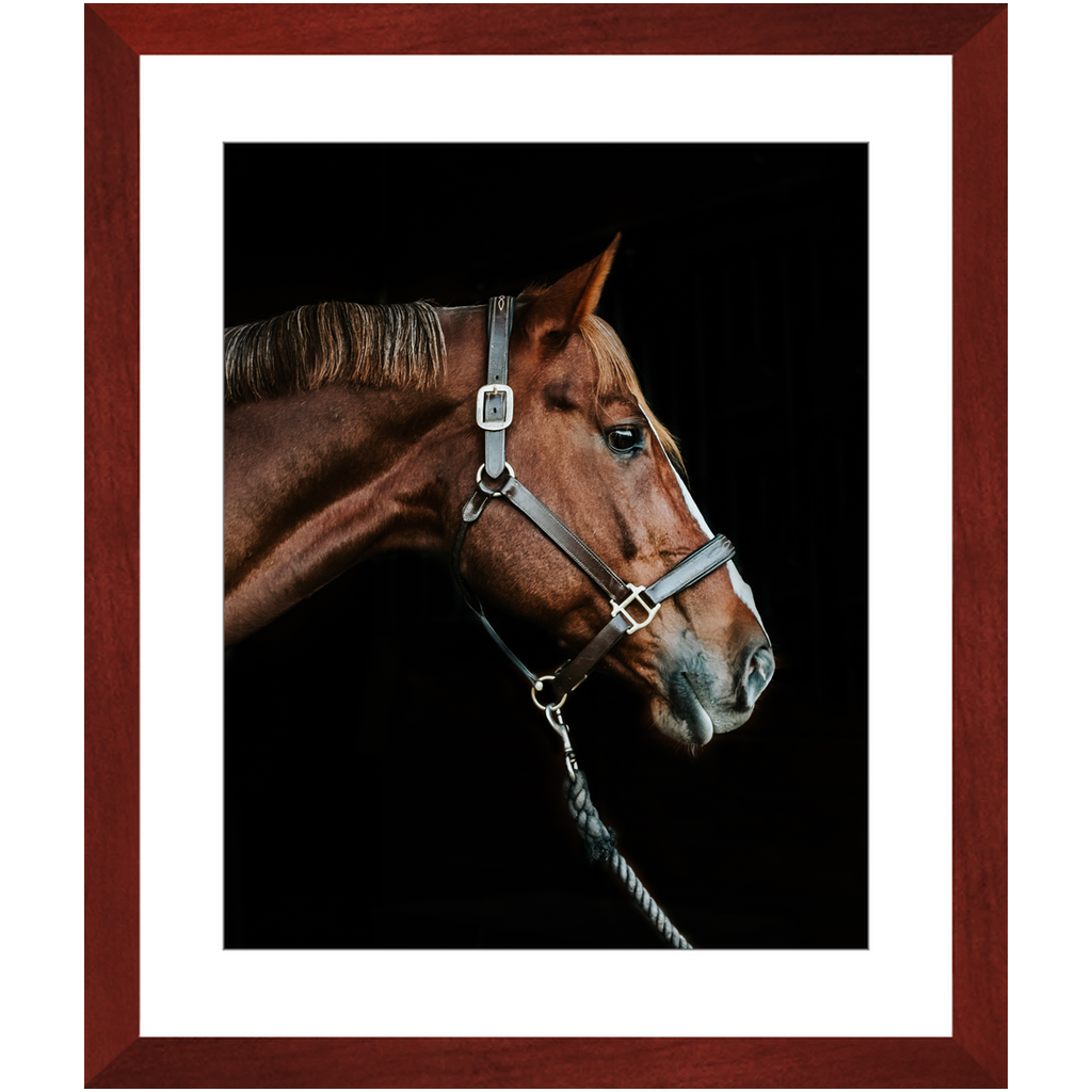 Django Series 3, Framed Print
