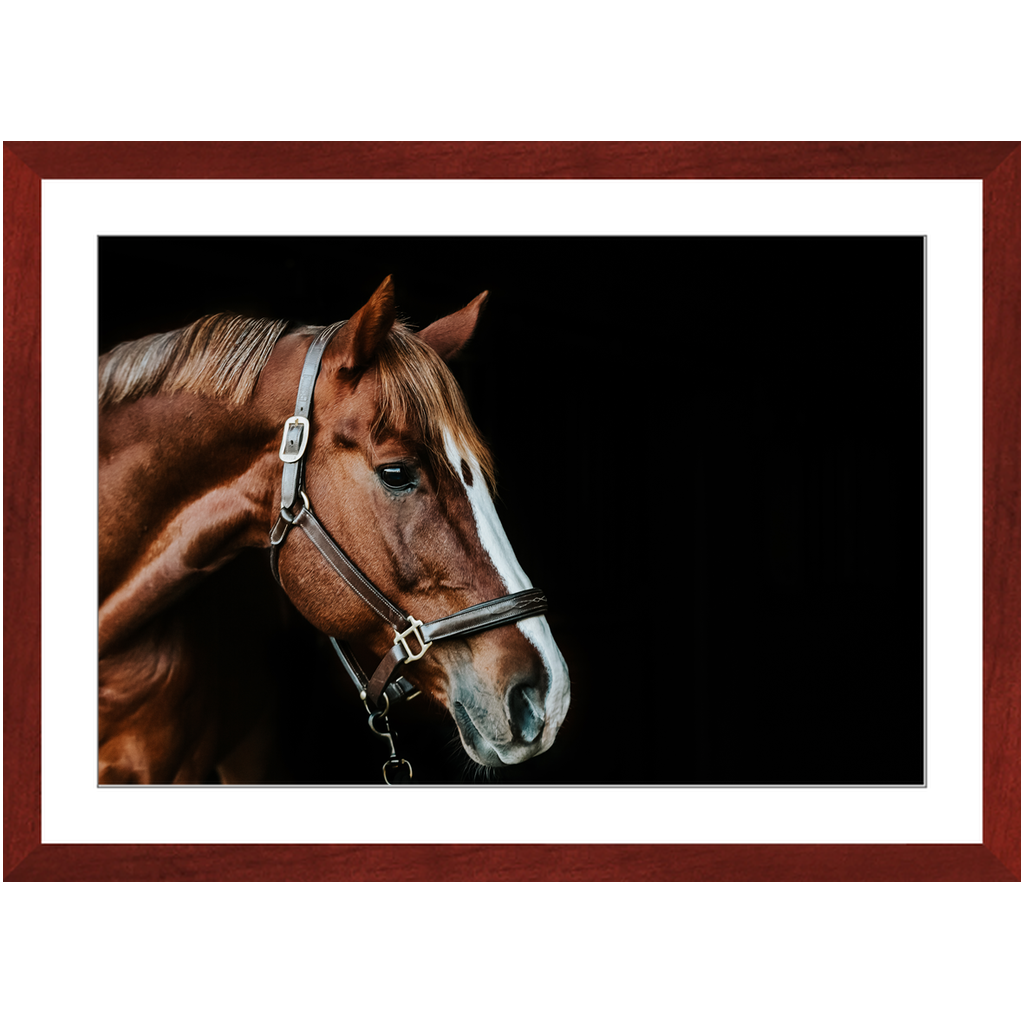Django Series 5, Framed Print
