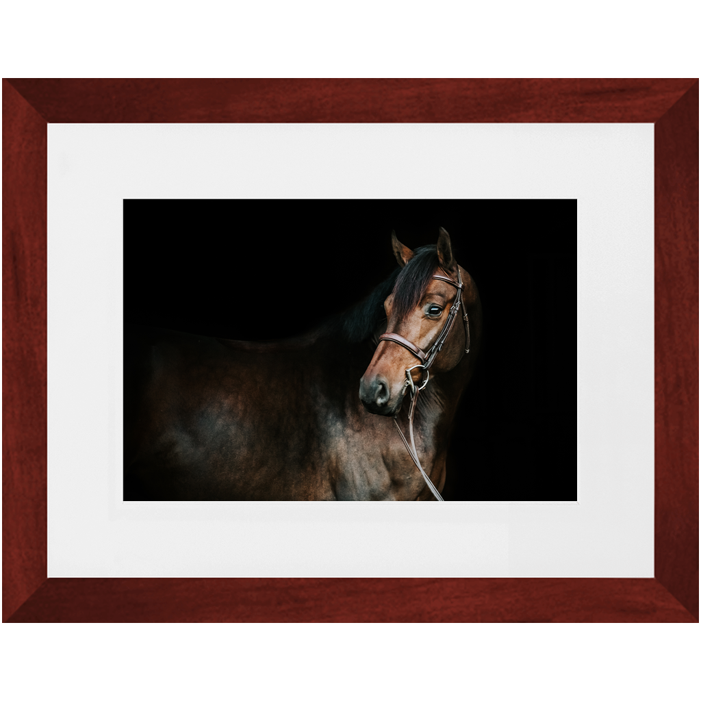Jovial Series 2, Framed Print