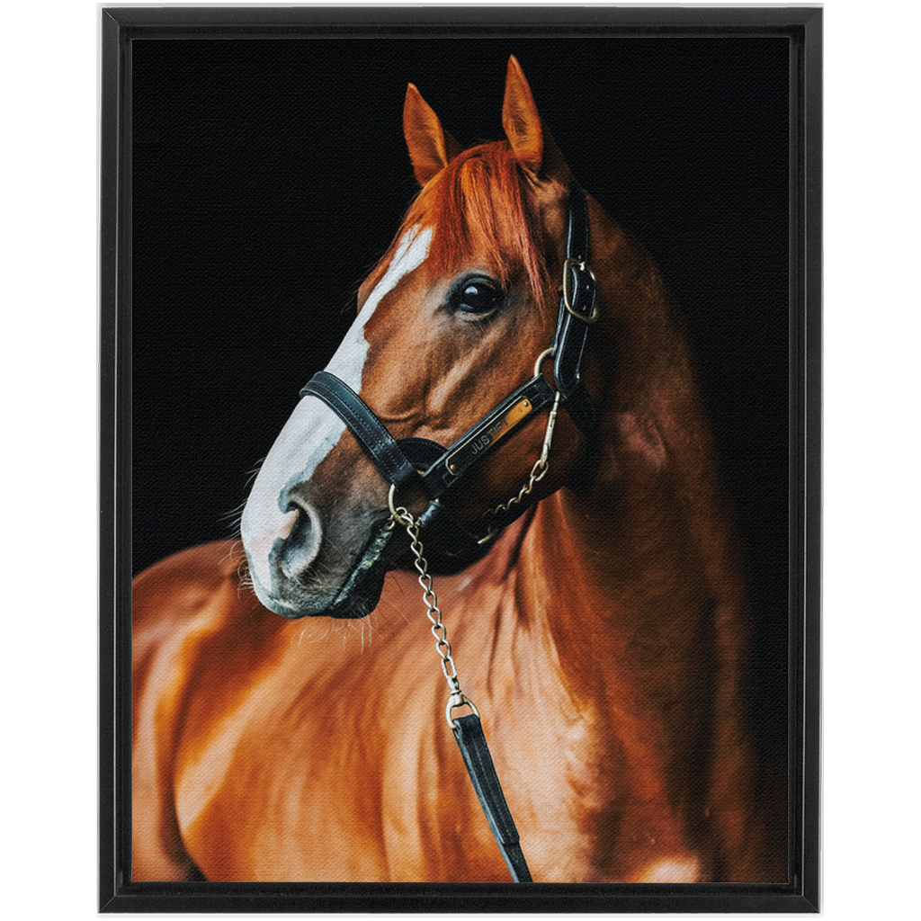 Justify Series 1, Framed Canvas