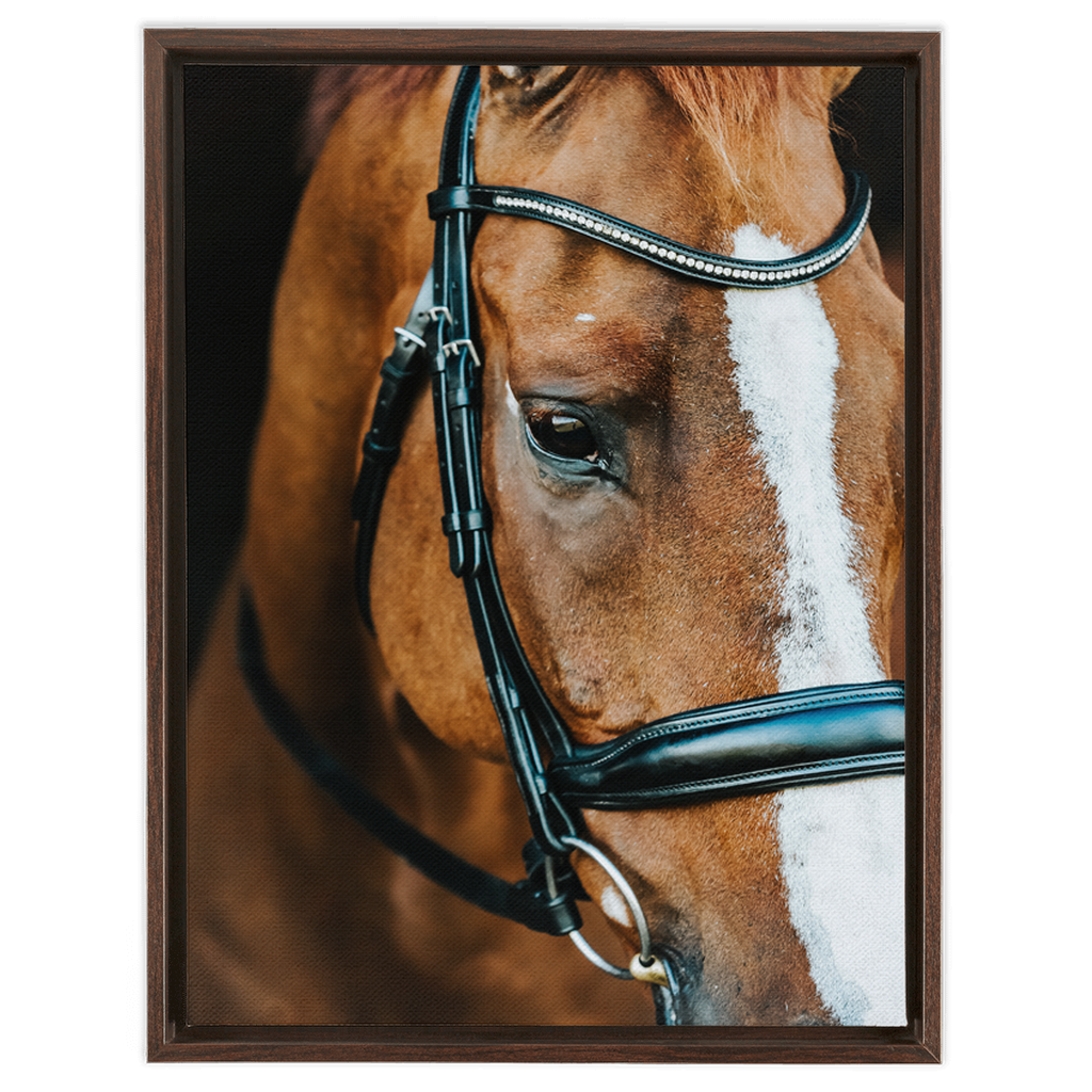 Hudson Series 3, Framed Canvas