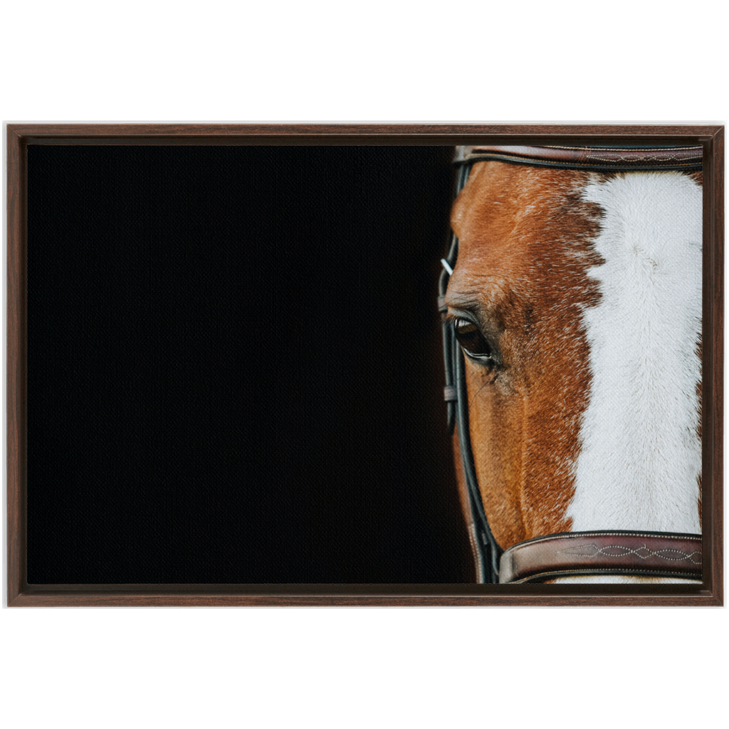 Huntsman Series 5, Framed Canvas