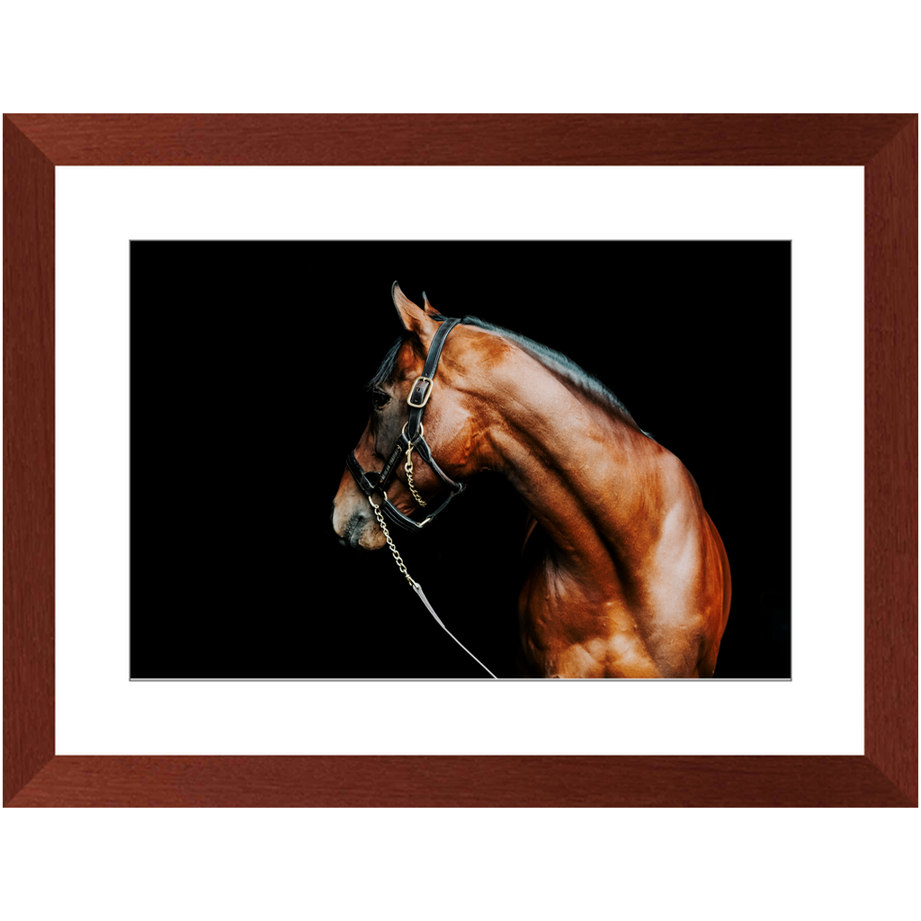 American Pharoah Series 5, Framed Print