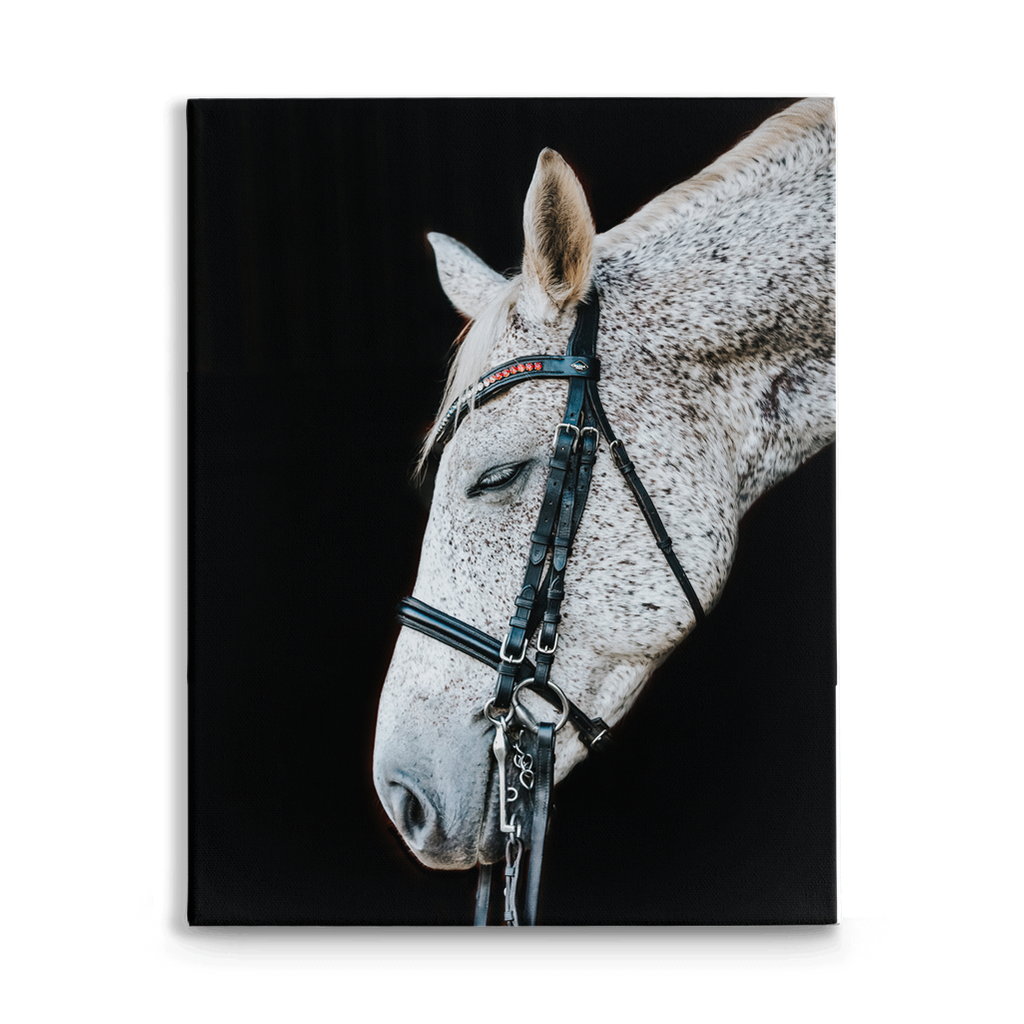 Apollos Series 2, Stretched Canvas