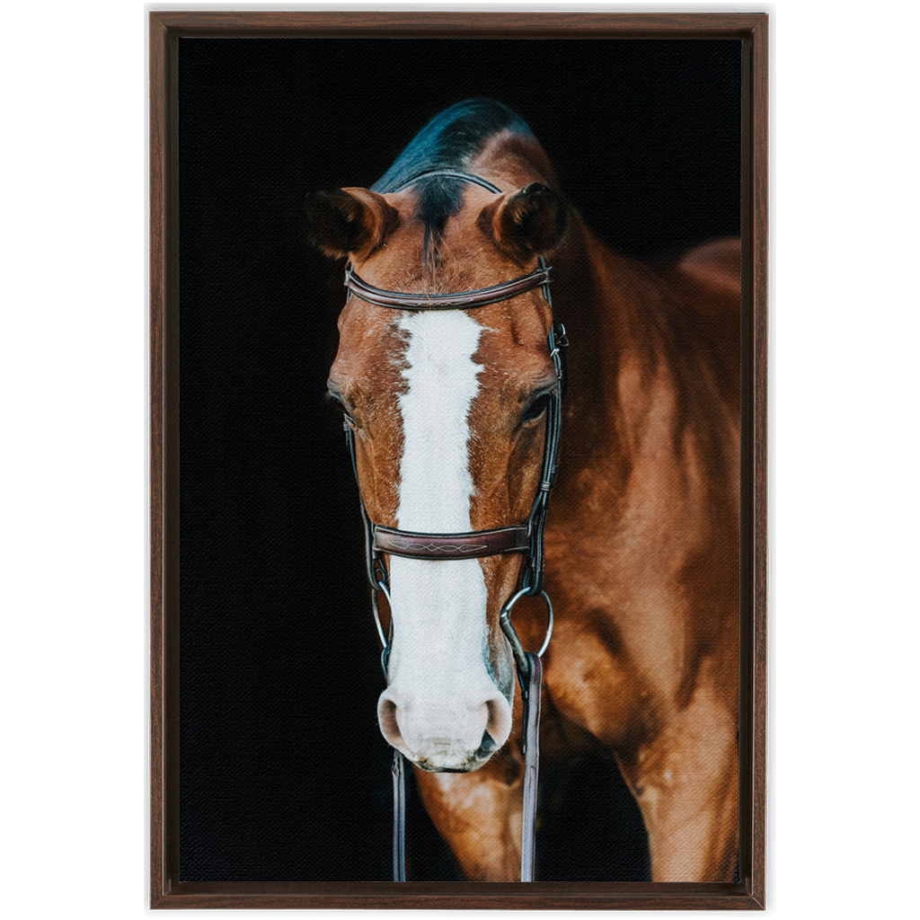 Huntsman Series 6, Framed Canvas