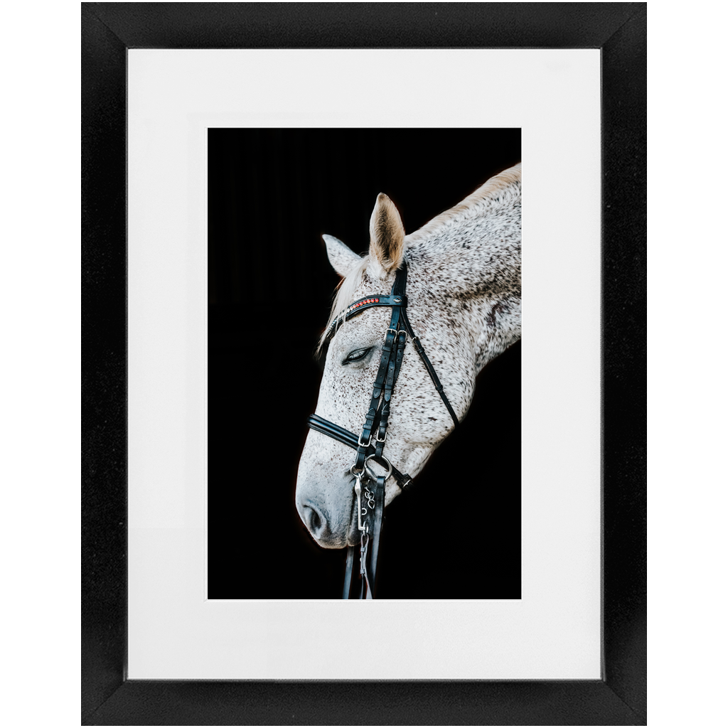 Apollo Series 2, Framed Print