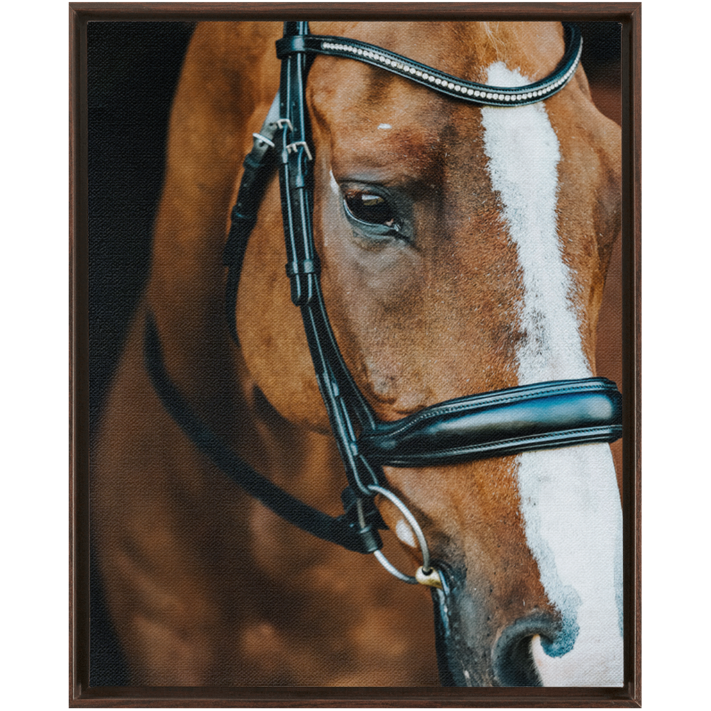 Hudson Series 3, Framed Canvas