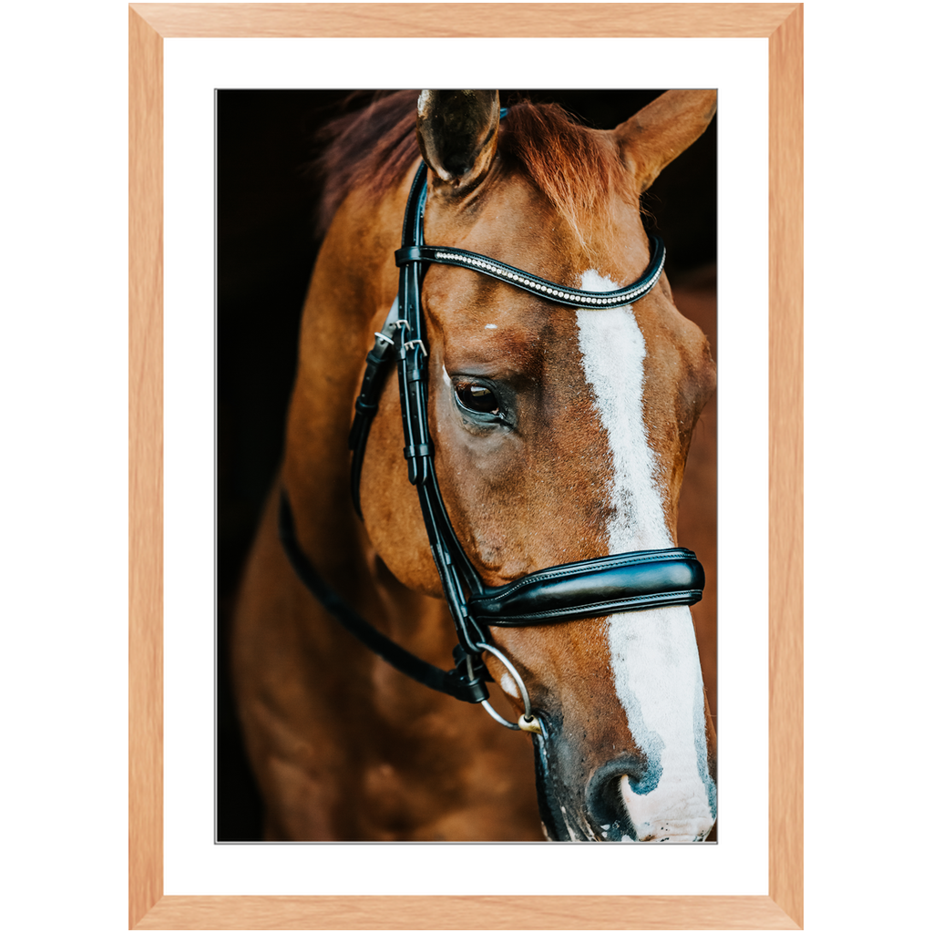 Hudson Series 3, Framed Print