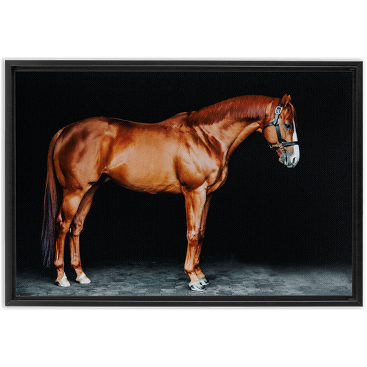 Justify Series 6, Framed Canvas