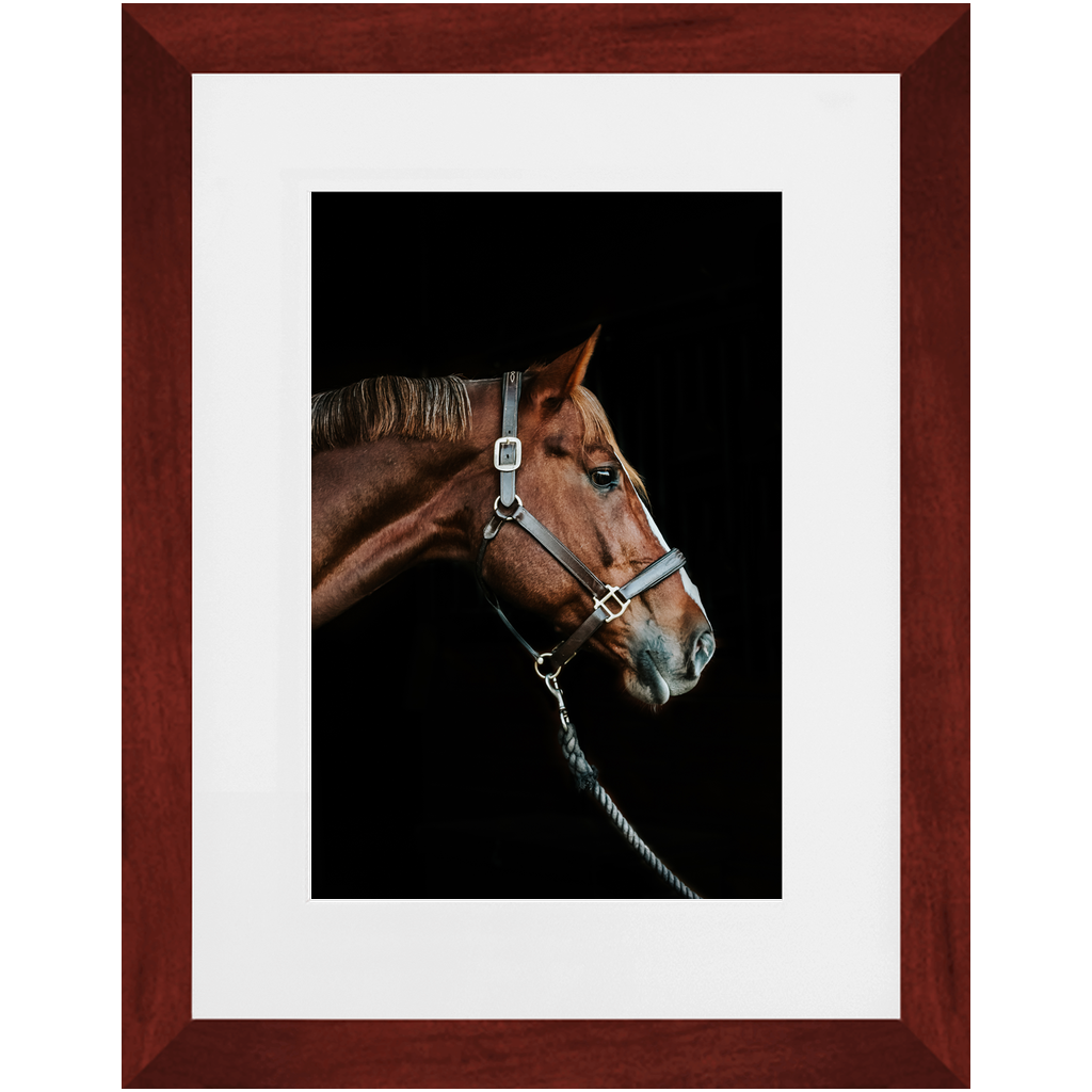 Django Series 3, Framed Print