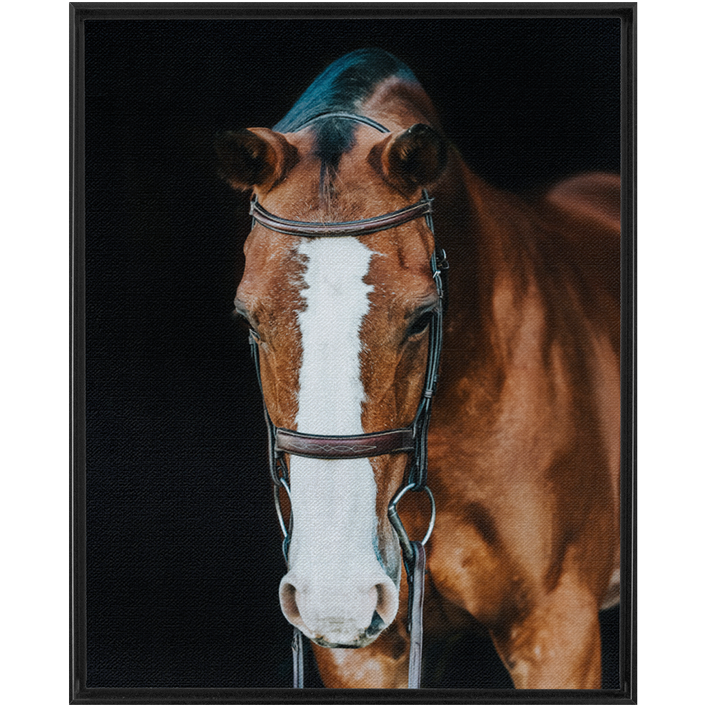 Huntsman Series 6, Framed Canvas