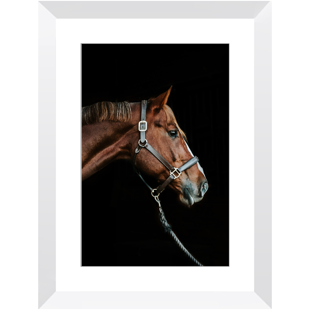 Django Series 3, Framed Print