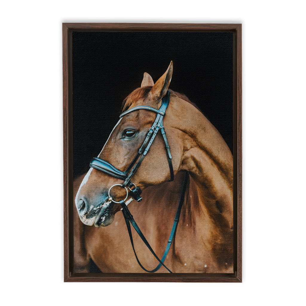 Hudson Series 6, Framed Canvas
