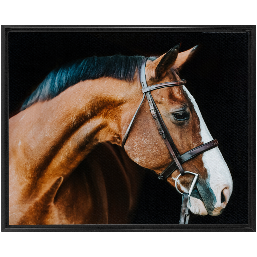Huntsman Series 3, Framed Canvas
