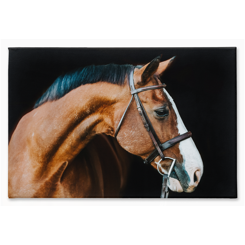 Huntsman Series 3, Canvas
