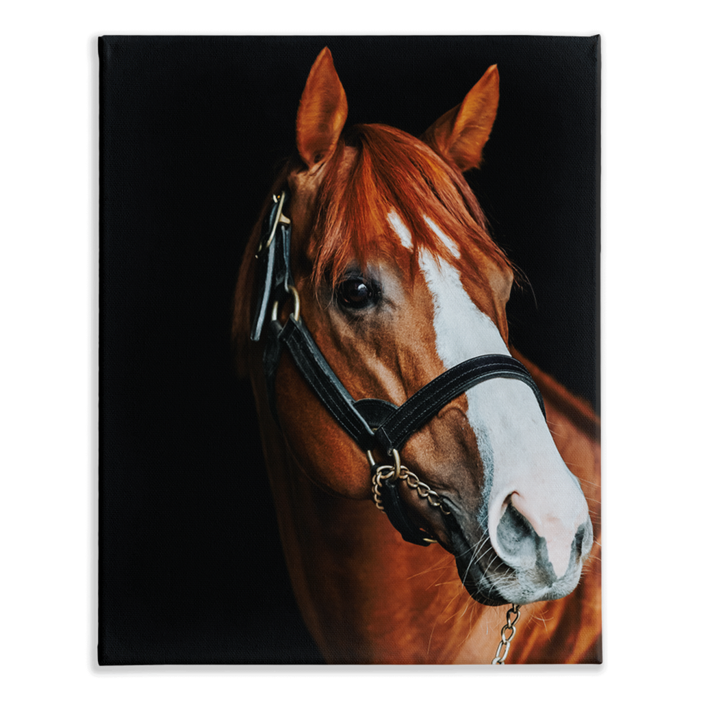 Justify Series 2, Stretched Canvas