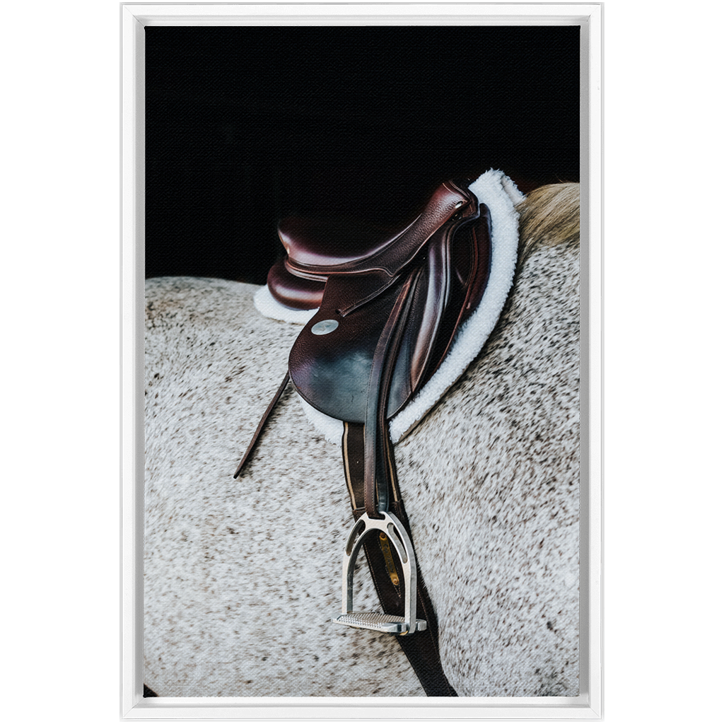 Apollo Series 3, Framed Canvas