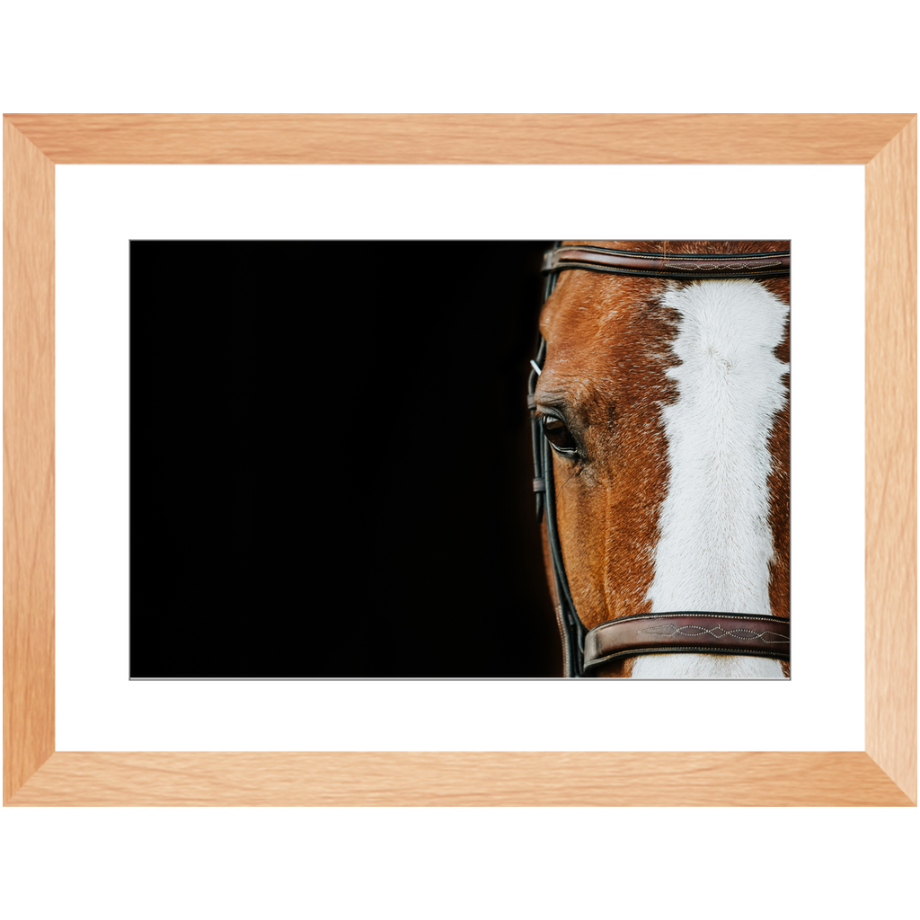 Huntsman Series 5, Framed Print
