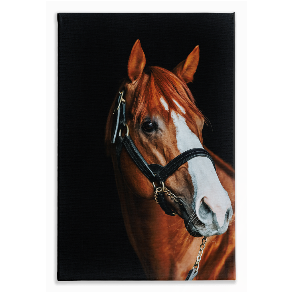 Justify Series 2, Stretched Canvas