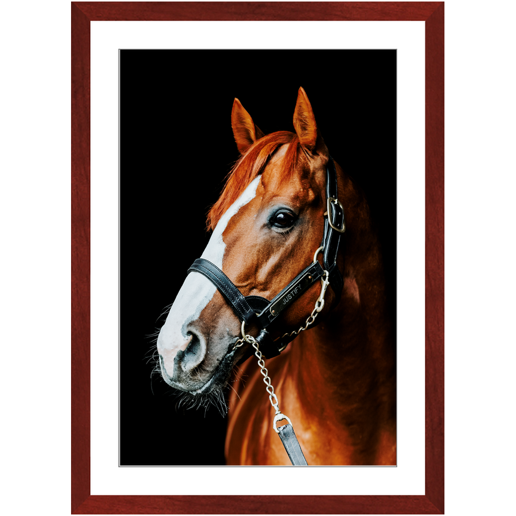 Justify Series 5, Framed Print