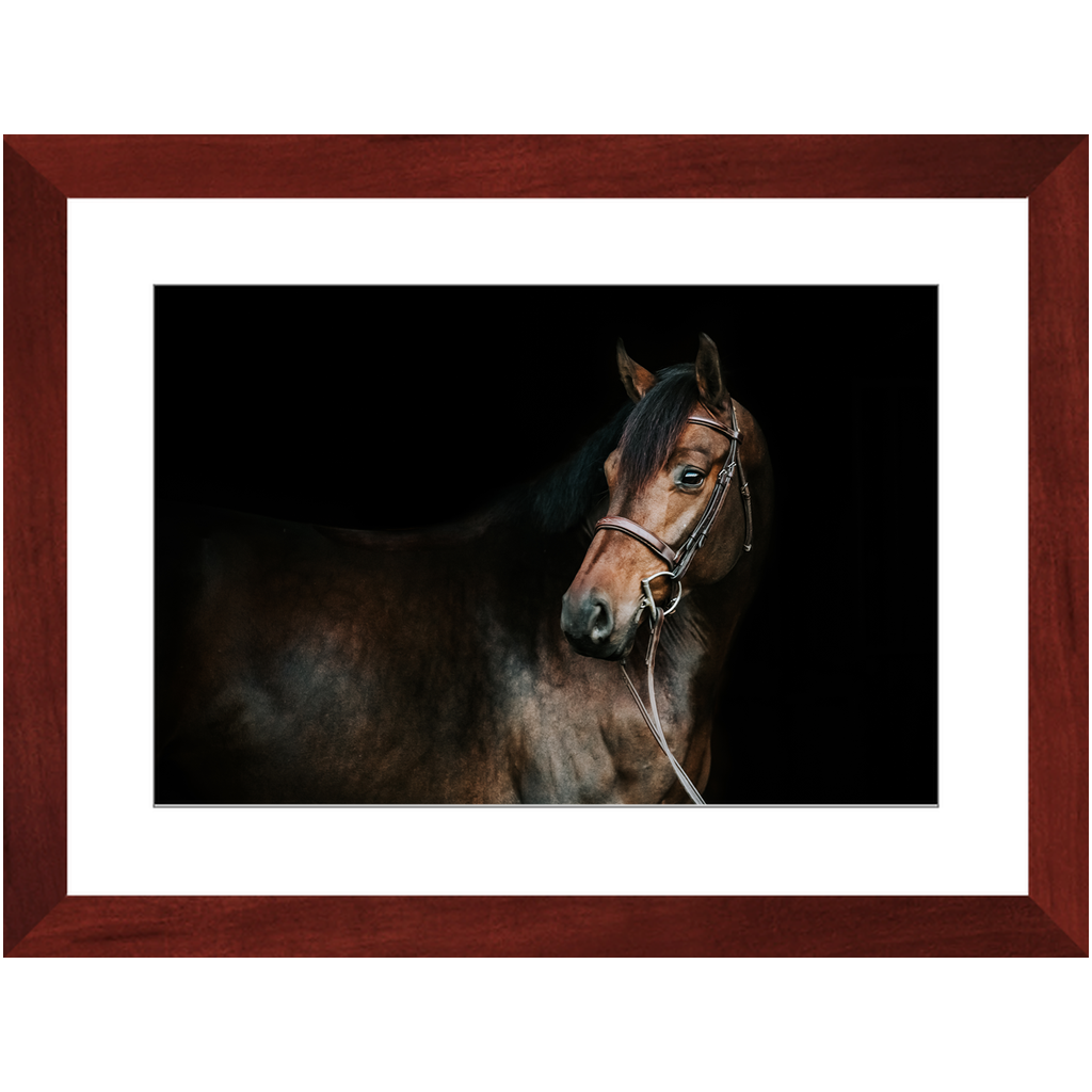Jovial Series 2, Framed Print
