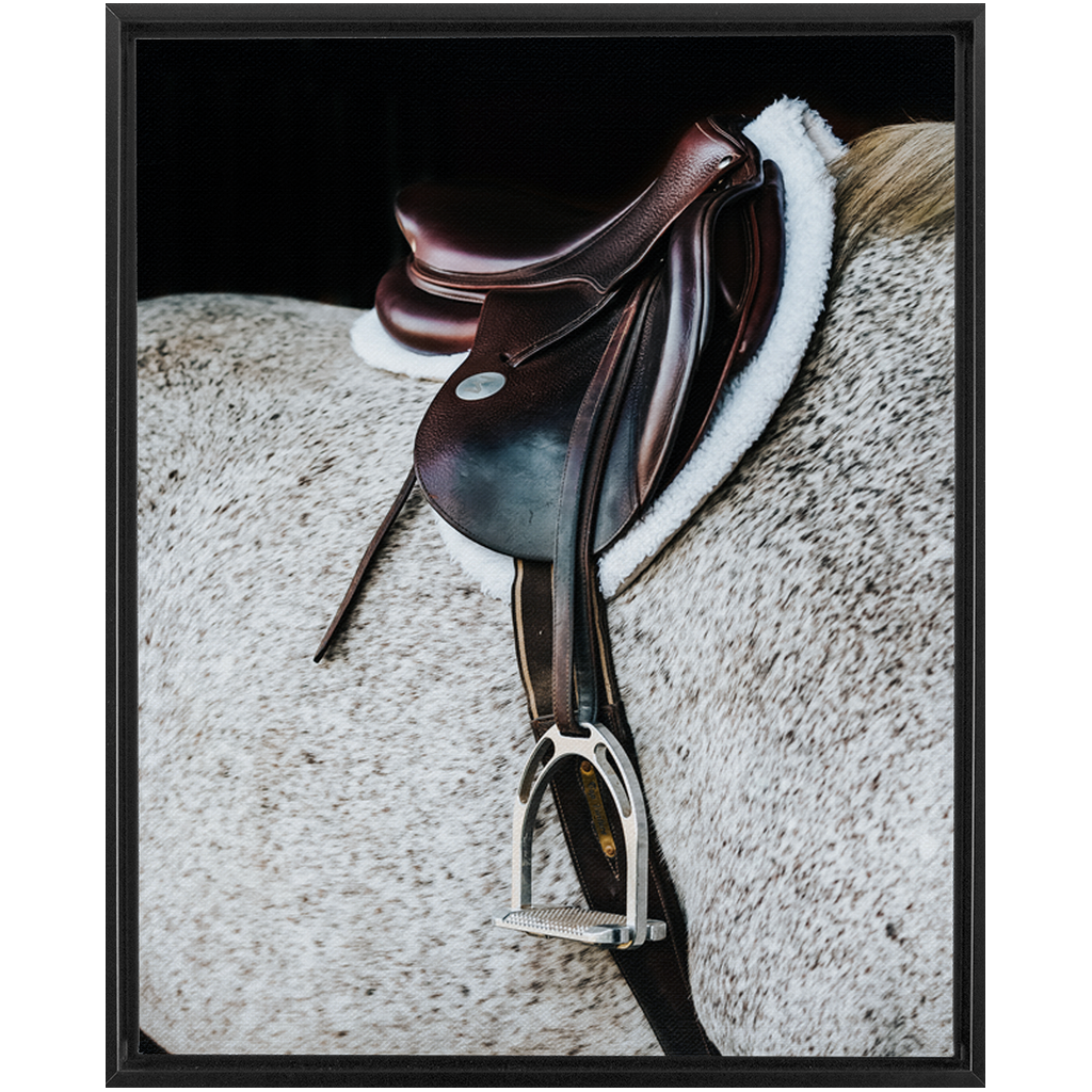 Apollo Series 3, Framed Canvas