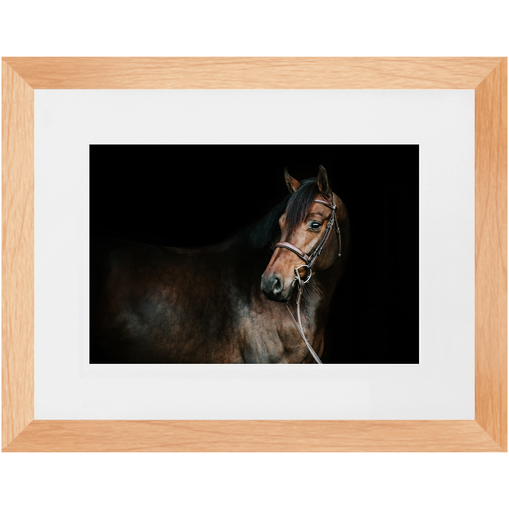 Jovial Series 2, Framed Print