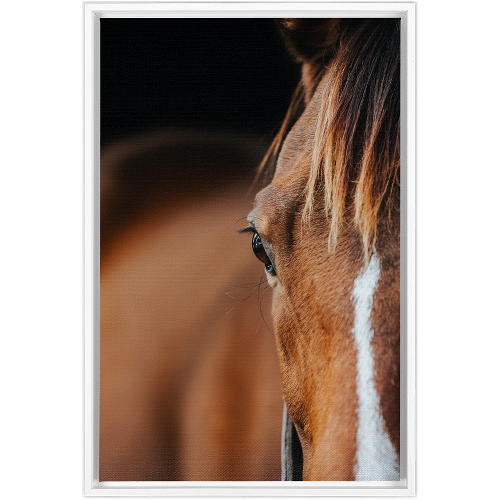 Majestic 1, Framed Canvas