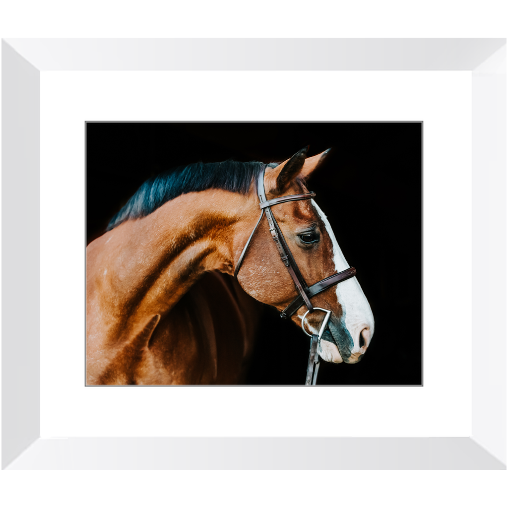 Huntsman Series 3, Framed Print