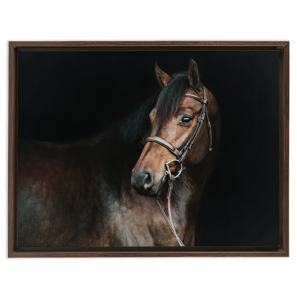 Jovial Series 2, Framed Canvas