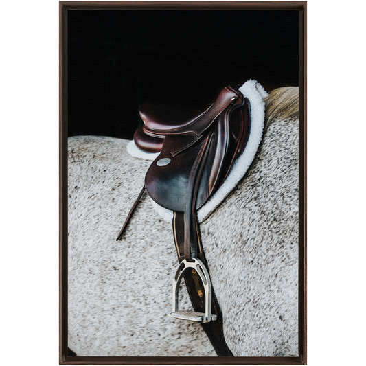 Apollo Series 3, Framed Canvas