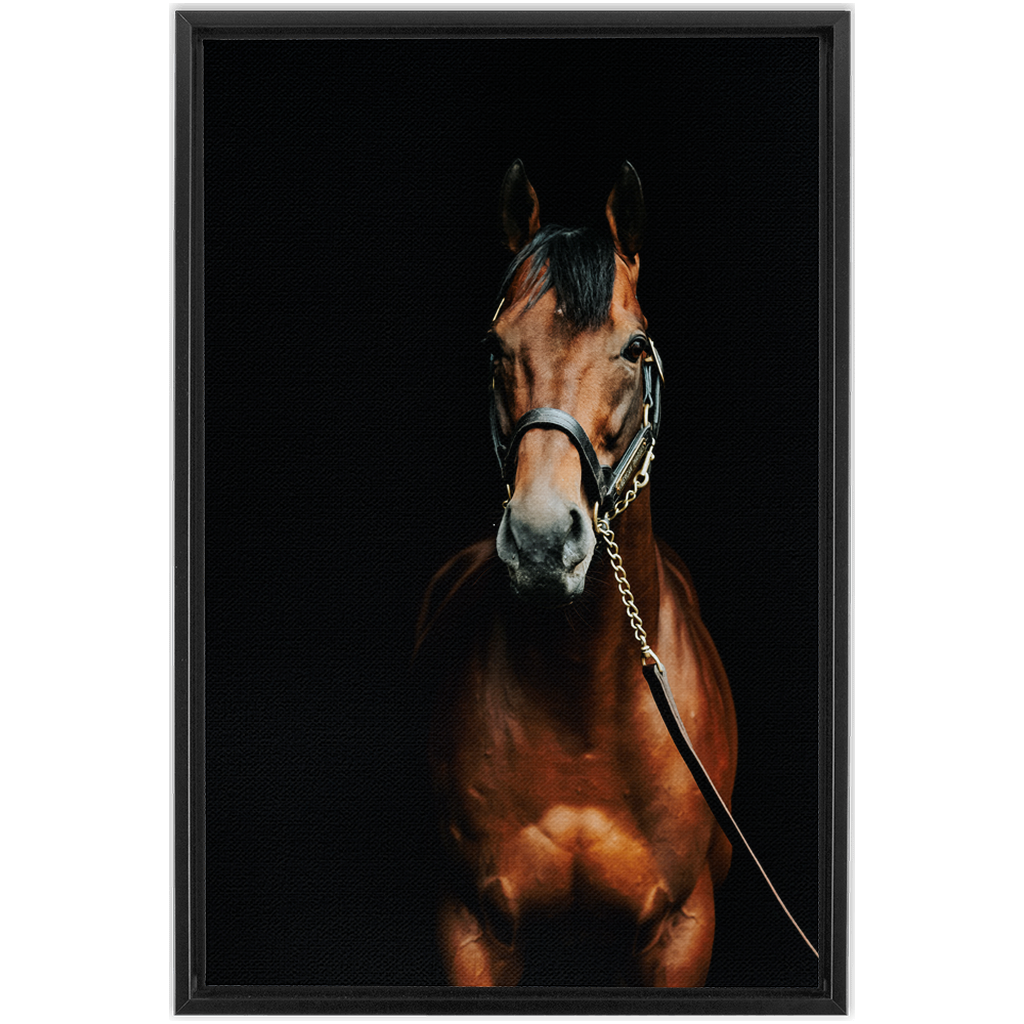 American Pharoah Series 4, Framed Canvas