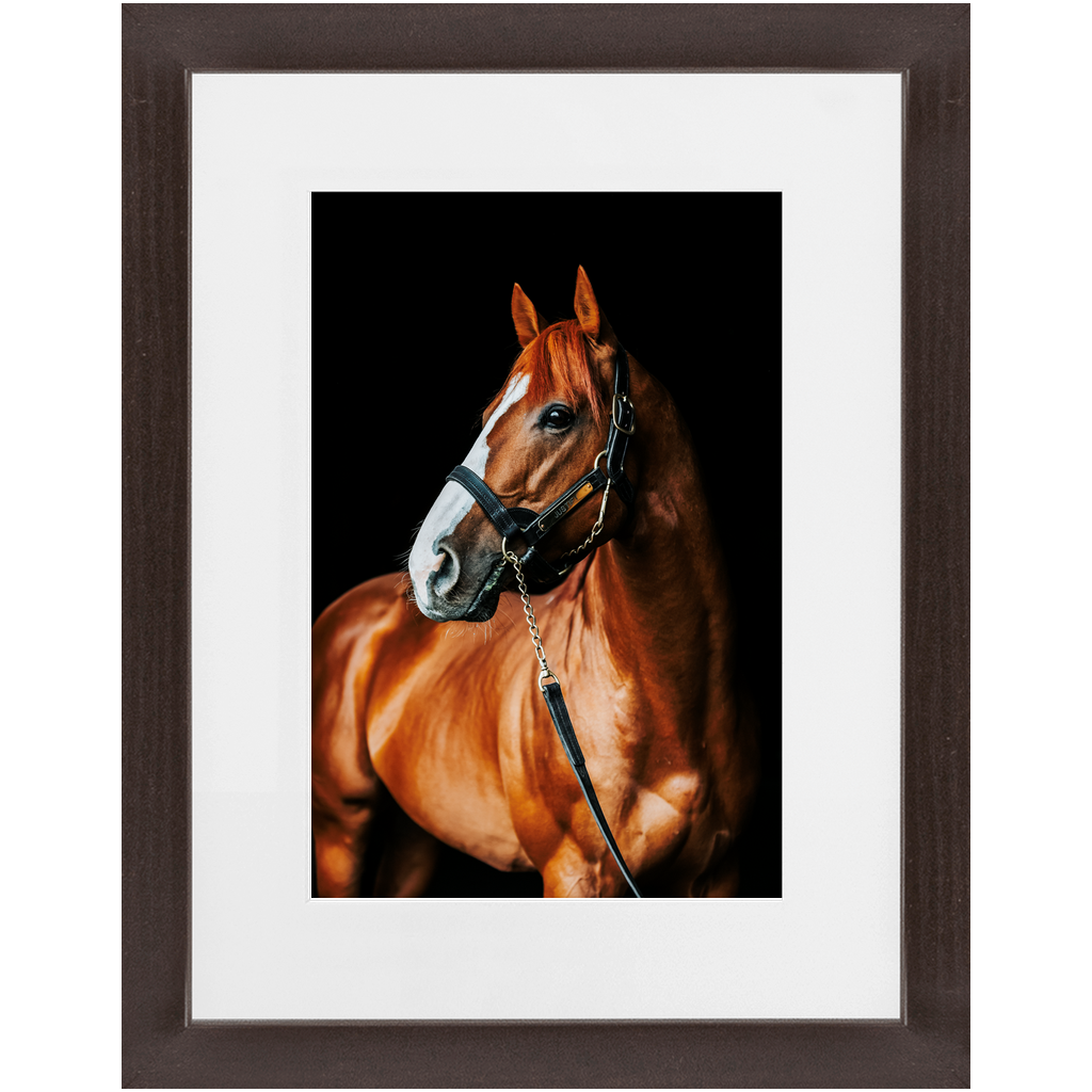 Justify Series 1, Framed Print