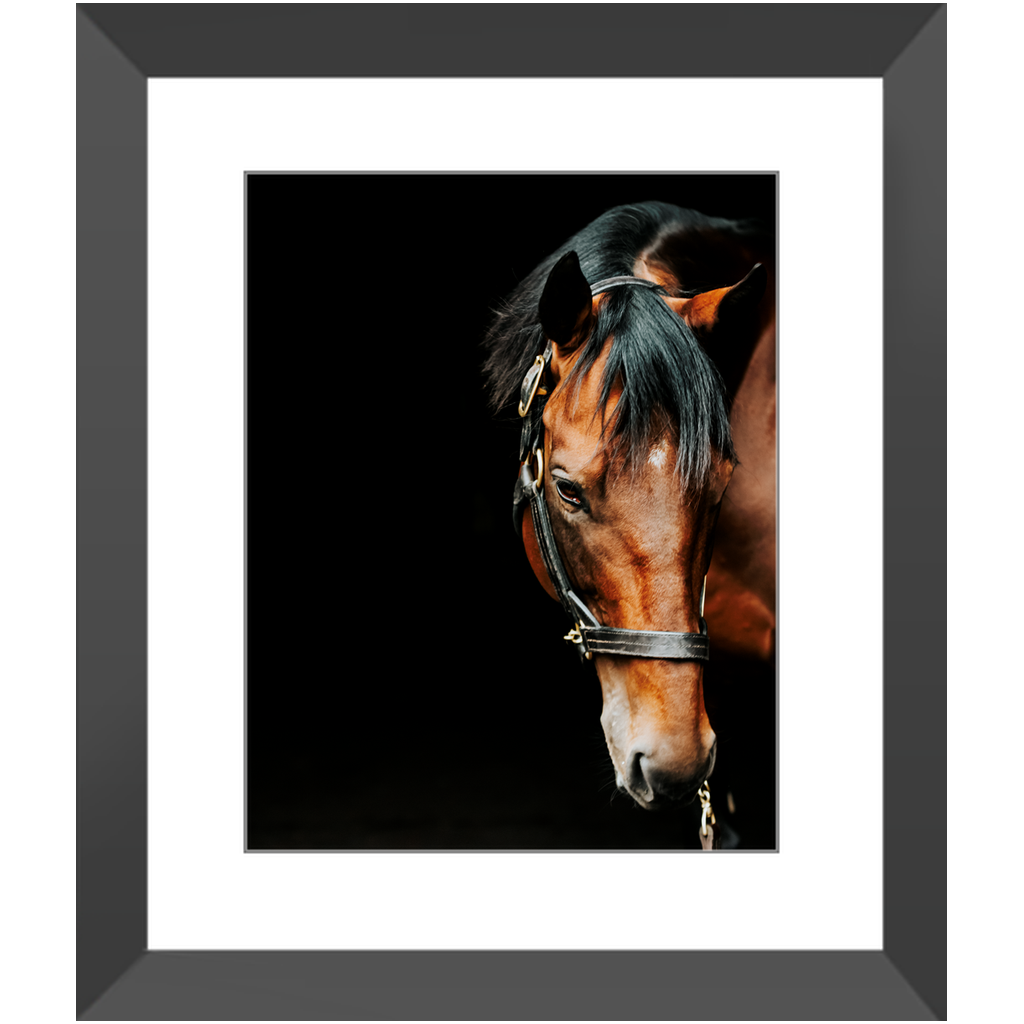 American Pharoah Series 6, Framed Print