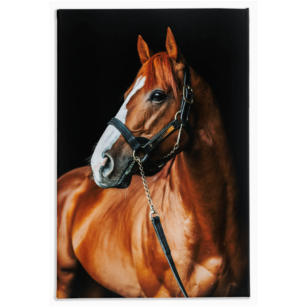 Justify Series 1, Stretched Canvas