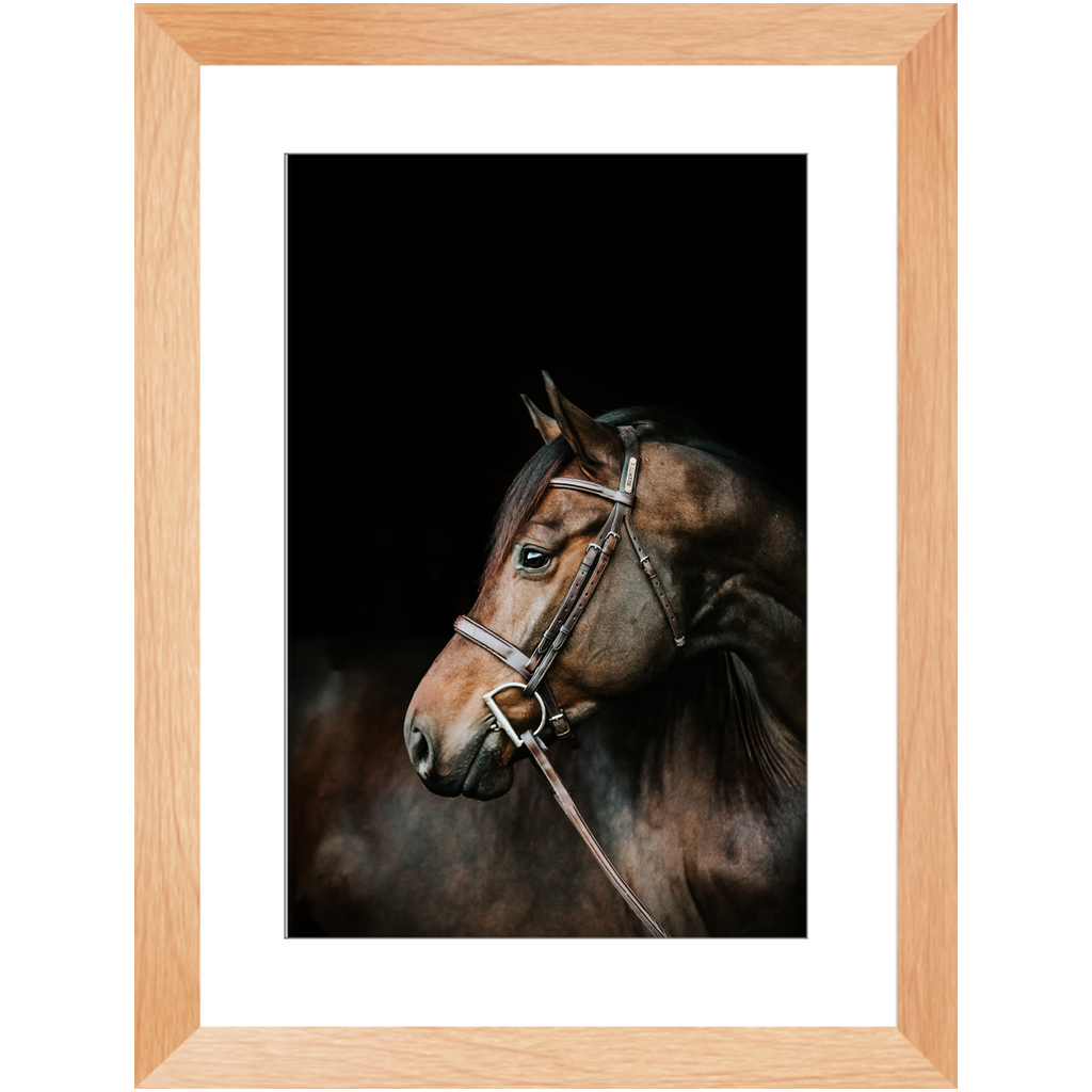 Jovial Series 3, Framed Print