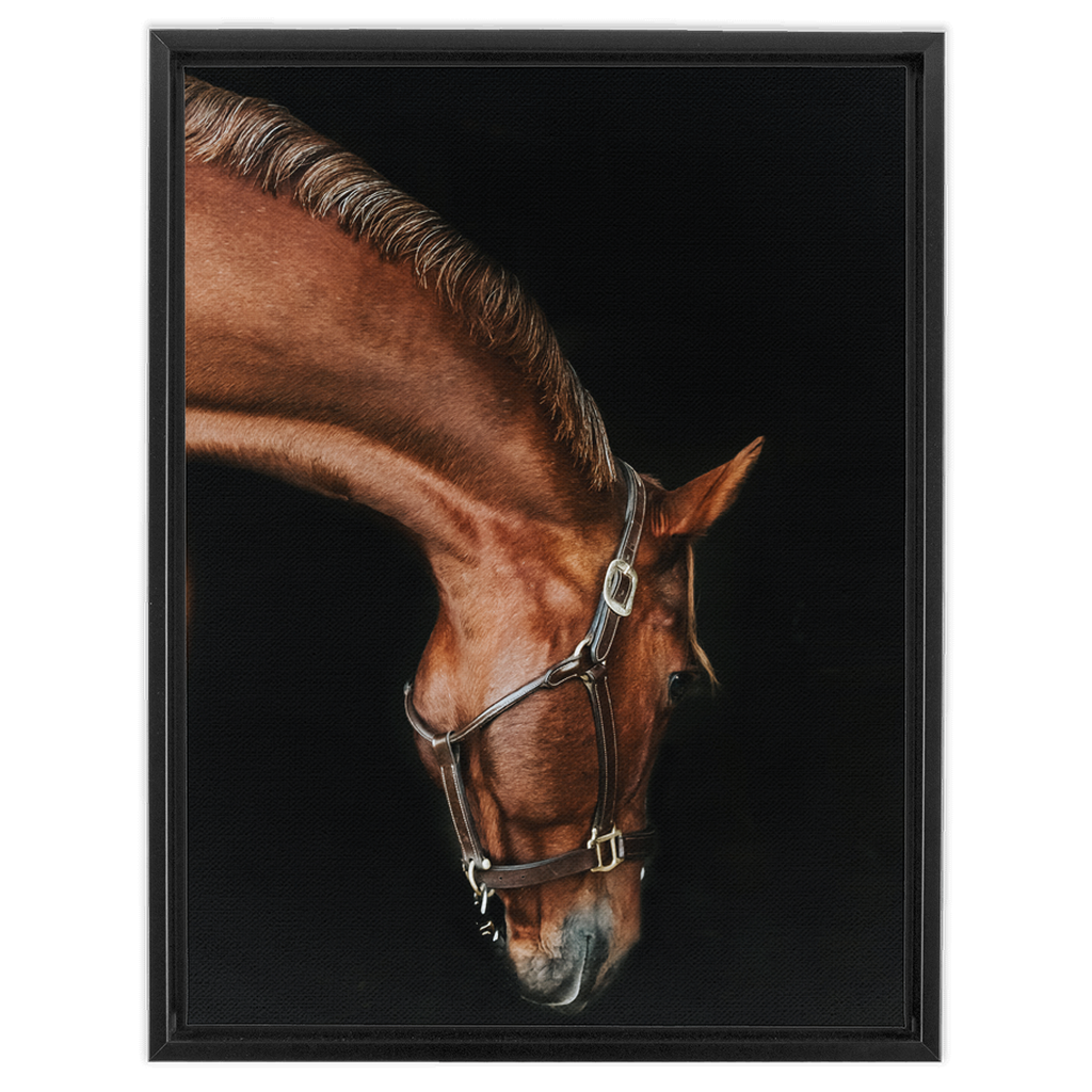 Django Series 6, Framed Canvas