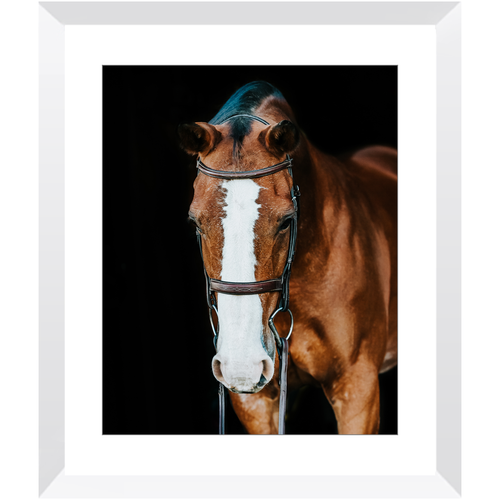 Huntsman Series 6, Framed Print