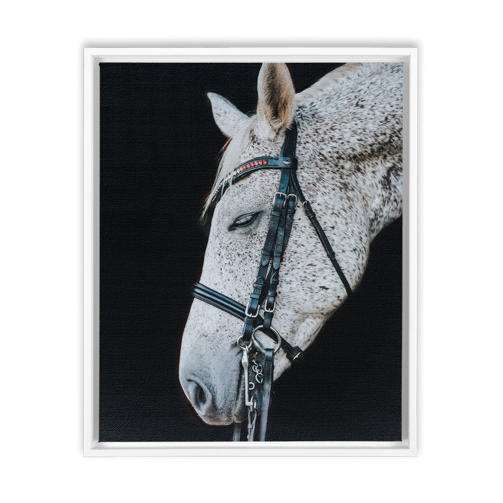 Apollo Series 1, Framed Canvas