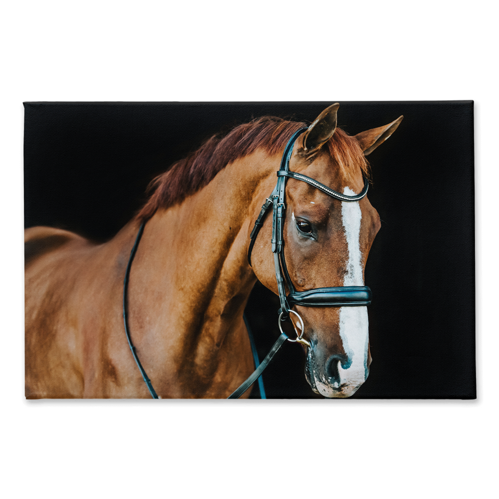 Hudson Series 1, Stretched Canvas